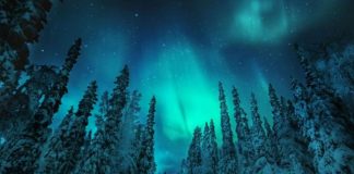 Lista me gjërat që duhet të bëni në stinën e dimrit