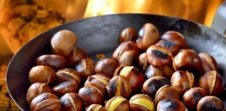 Shqipëria, e 9-ta në botë për eksportin e gështenjës, potencial i jashtëzakonshëm për veriun