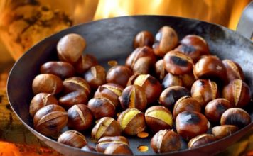 Shqipëria, e 9-ta në botë për eksportin e gështenjës, potencial i jashtëzakonshëm për veriun