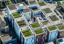 Fotot/ Kopshte fruta-perimesh mbi tarracat e ndërtesave; E ardhmja e bujqësisë ‘urbane’