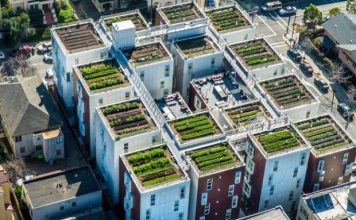 Fotot/ Kopshte fruta-perimesh mbi tarracat e ndërtesave; E ardhmja e bujqësisë ‘urbane’