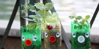 Shfaqje teatrale dhe lojëra për fëmijët në skenën e Amfiteatrit të Tiranës, hyrja falas