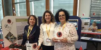 Tre mësueset shqiptare më të mirat në Evropë, triumfojnë në Festivalin e Shkencës