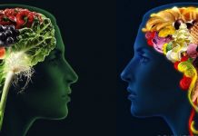 Ushqimet ideale për funksionimin optimal të trurit