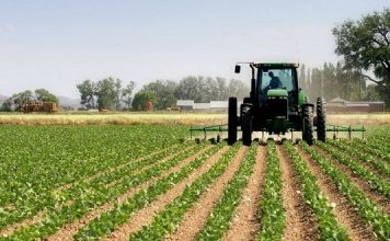 Buxheti 2020/ 3.9 miliardë lekë për zhvillimin rural dhe mbështetjen e fermerëve