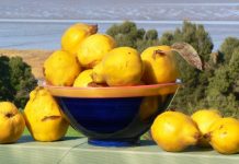 Keni probleme me fytin dhe kollën? Provoni kurën me farat e ftoit