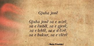 47 vjet nga Kongresi i Drejtshkrimit të Gjuhës Shqipe