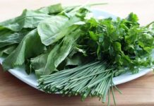 Bima shëruese lëpjeta, pse duhet të jetë në tryezën tuaj këtë dimër