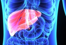 Mëlçia – Si të Dalloni Shenjat e Para të Problemeve në Organizëm