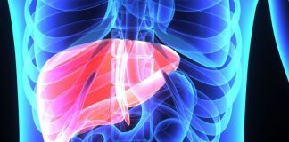 Mëlçia – Si të Dalloni Shenjat e Para të Problemeve në Organizëm