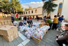 Solidaritet i jashtëzakonshëm, ja sa milionë euro kanë dhuruar shqiptarët