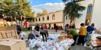 Solidaritet i jashtëzakonshëm, ja sa milionë euro kanë dhuruar shqiptarët