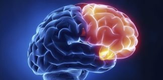 4 teknika që të mposhtni stresin