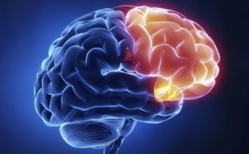 4 teknika që të mposhtni stresin