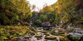 Fluks edhe në tetor, ja nga sa turistë të huaj u vizitua Shqipëria
