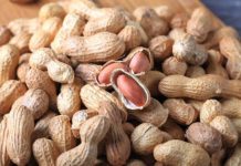 Pse duhet t’i hani më shpesh kikirikët