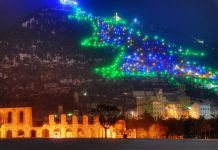 Kjo është pema më e madhe e Krishtlindjes në botë (Foto)