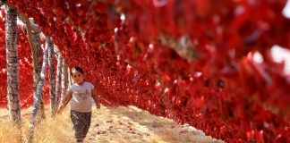 Mesazhe të jashtëzakonshme/ Njihuni me disa nga fotot më të mira të vitit