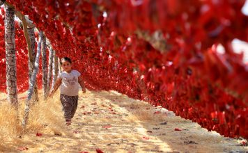 Mesazhe të jashtëzakonshme/ Njihuni me disa nga fotot më të mira të vitit