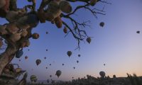 Peribacaları, doğal kaya oluşumlarıyla kaplı vadileri, yer altı şehirleri, tarihi manastırları ve sıcak hava balon turu ile ünlü Türkiye’nin önemli turizm merkezlerinden Kapadokya bölgesi, dünyanın dört bir yanından gelen turistleri cezbediyor. Kapadokya bölgesine gelen turistler, sıcak hava balonları ile bölgenin eşsiz manzarasının keyfini çıkarıyor. ( İsmail DURU – Anadolu Ajansı )