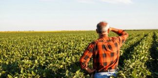 IPARD II financon 70% të vlerës së investimit në zonat malore, si të përfitoni deri në 500 mijë euro