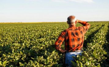 IPARD II financon 70% të vlerës së investimit në zonat malore, si të përfitoni deri në 500 mijë euro