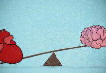 Cili organ është më i rëndësishëm: Zemra apo truri?