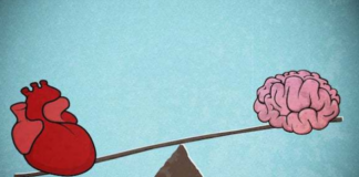 Cili organ është më i rëndësishëm: Zemra apo truri?