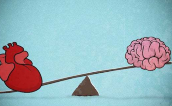 Cili organ është më i rëndësishëm: Zemra apo truri?