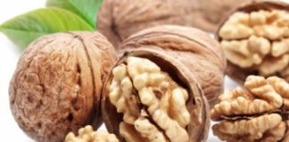 Studimi: Arrat ndihmojnë në parandalimin e kancerit të gjirit