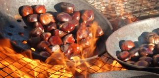 Të shijshme dhe plot vlera, gështenjat e pjekura bëjnë mrekulli në organizmin tuaj