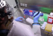 A mund të kemi grip dhe të ftohemi në të njëjtën kohë? Flasin ekspertët