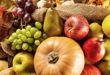 Frutat që duhet të konsumoni në dimër
