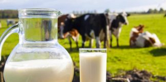 Përfitimet e jashtëzakonshme të qumështit