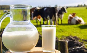 Përfitimet e jashtëzakonshme të qumështit