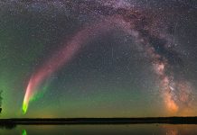 Illyrian dhe Arber, ja dy yjet që moren sot emra shqiptarë dhe që do i përkasin Shqipërisë