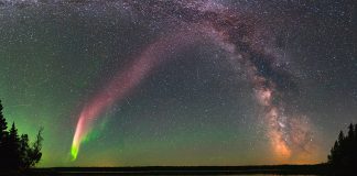 Illyrian dhe Arber, ja dy yjet që moren sot emra shqiptarë dhe që do i përkasin Shqipërisë