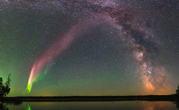 Illyrian dhe Arber, ja dy yjet që moren sot emra shqiptarë dhe që do i përkasin Shqipërisë