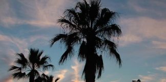 Rikthehet normaliteti, Durrësi plot me turistë