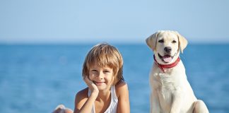 Jo vetëm mik besnik, e vërteton shkenca: Ja pse duhet të mbani qen