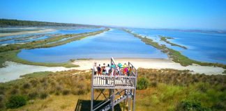 Investimi mbi 100 milionë euro/ Gati ndërtimi i parkut fotovoltaik në zonën e Karavastasë