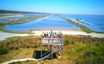 Investimi mbi 100 milionë euro/ Gati ndërtimi i parkut fotovoltaik në zonën e Karavastasë