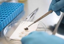 Nuk do kemi nevojë të shkojmë te mjeku, mjafton t’i çojmë ADN në celular