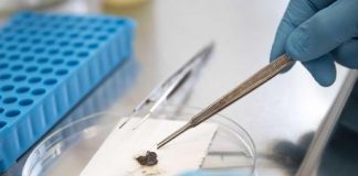 Nuk do kemi nevojë të shkojmë te mjeku, mjafton t’i çojmë ADN në celular