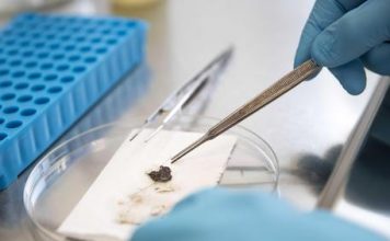 Nuk do kemi nevojë të shkojmë te mjeku, mjafton t’i çojmë ADN në celular