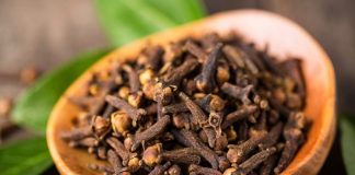 Mbron mëlçinë, lëkurën, flokët…/Vlerat shëndetësore të vajit të karafilit