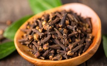 Mbron mëlçinë, lëkurën, flokët…/Vlerat shëndetësore të vajit të karafilit