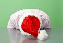 Rikthimi në punë pas festave/ Si të shpëtoni nga “qetësia” e pushimeve!