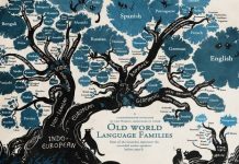 HISTORIKU/ Shqipja, ndër tri gjuhët më të vjetra në botë. Çfarë thotë shkenca