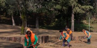 Një tjetër hapësirë rekreative po i shtohet Parkut të Liqenit Artificial